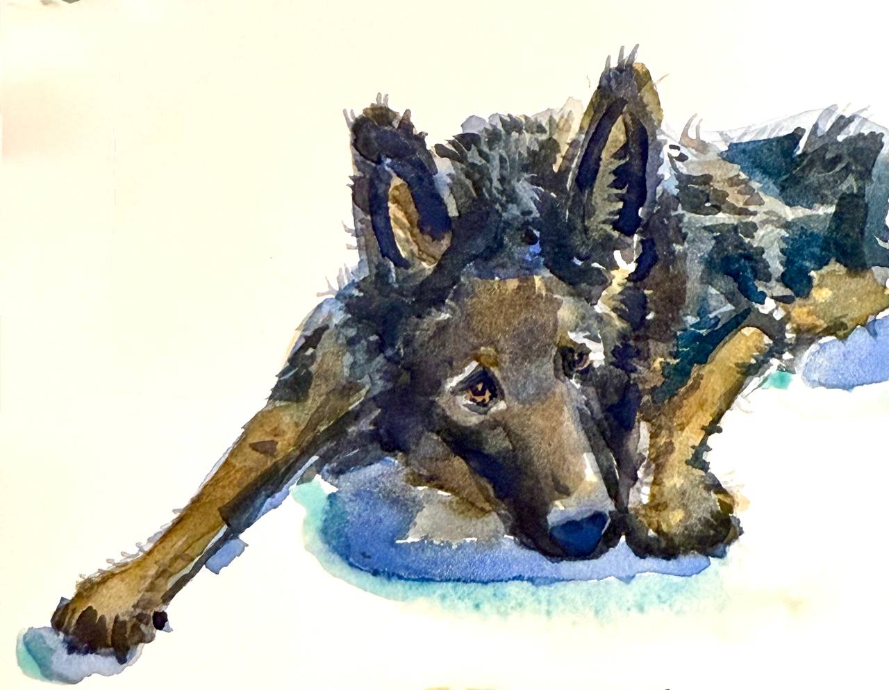 Memorable Pet Portraits