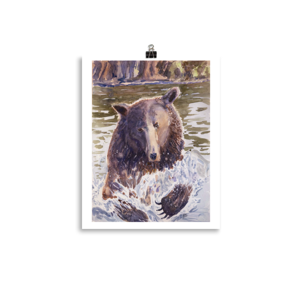 Grizzer In Water - Print