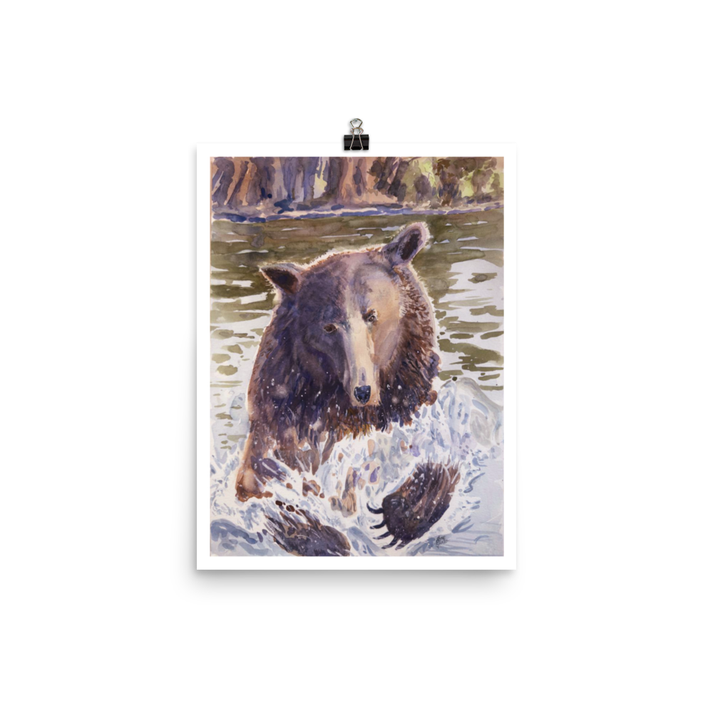 Grizzer In Water - Print