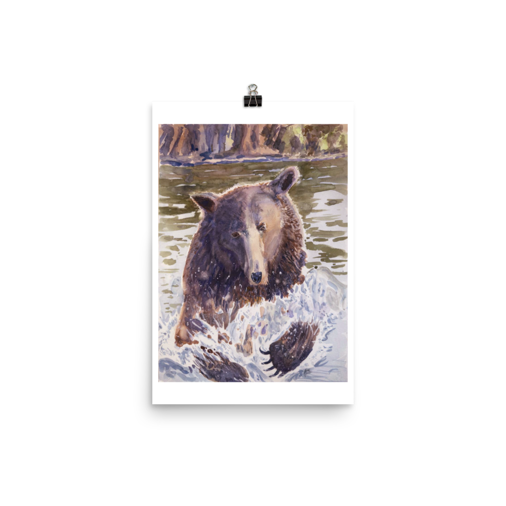 Grizzer In Water - Print