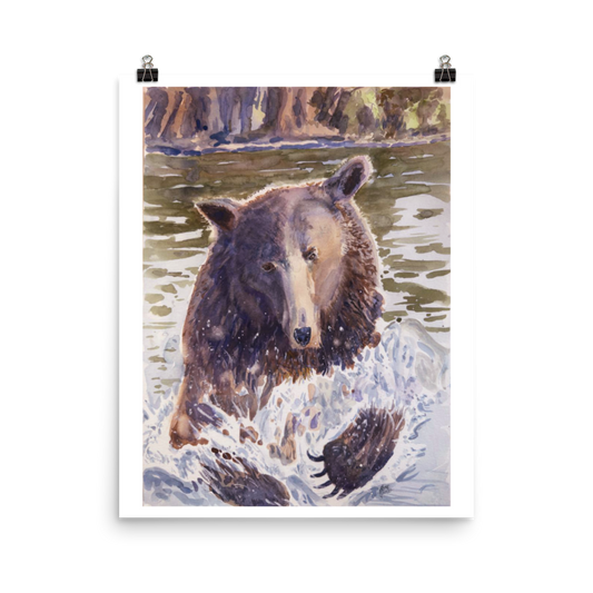 Grizzer In Water - Print