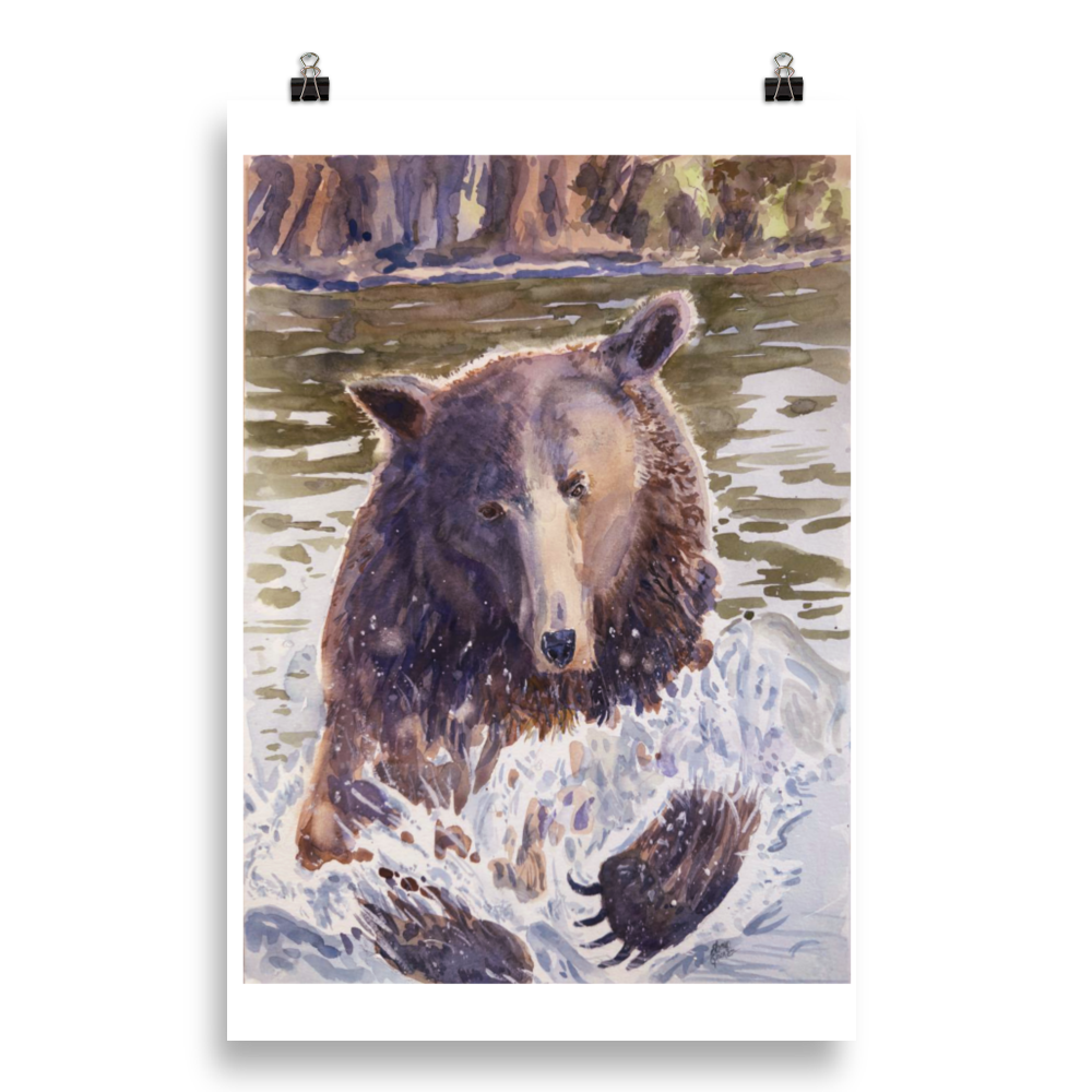 Grizzer In Water - Print