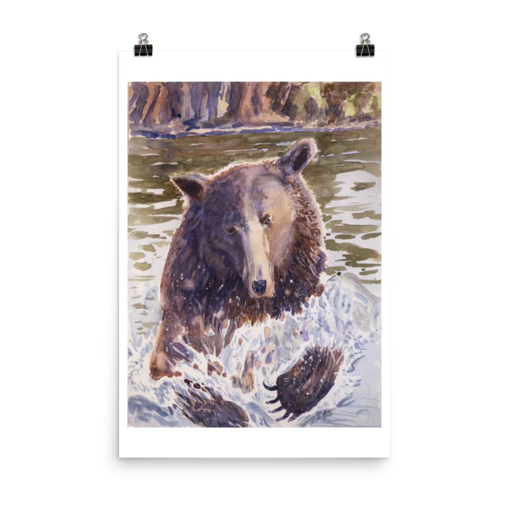 Grizzer In Water - Print
